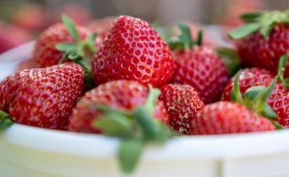 Com uma riqueza de nutrientes e compostos benéficos, essas pequenas frutas vermelhas têm conquistado um lugar especial não apenas em nossas mesas, mas também em nossos rituais de cuidados com a pele.