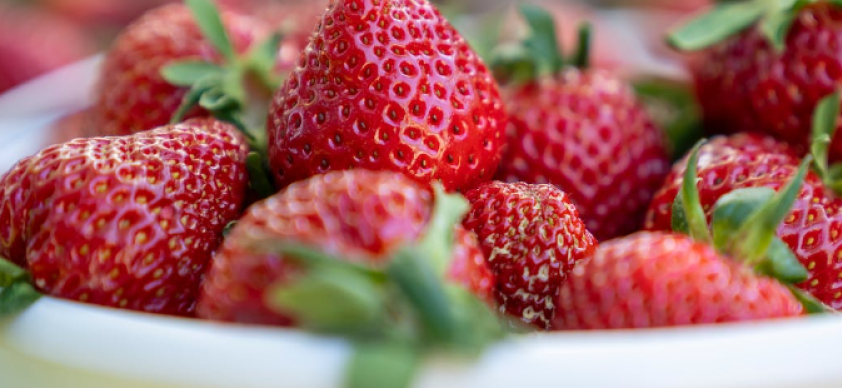 Com uma riqueza de nutrientes e compostos benéficos, essas pequenas frutas vermelhas têm conquistado um lugar especial não apenas em nossas mesas, mas também em nossos rituais de cuidados com a pele.