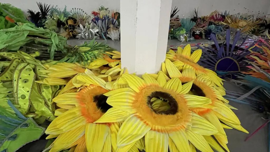 Carnaval Sustentável: Rio de Janeiro recicla fantasias e reduz resíduos