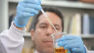 Venezuela: projeto de lei de anistia pode libertar presos políticos